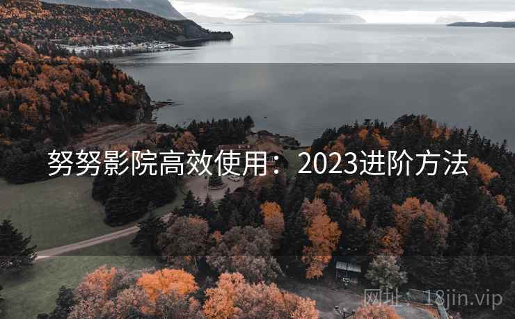 努努影院高效使用：2023进阶方法  第2张