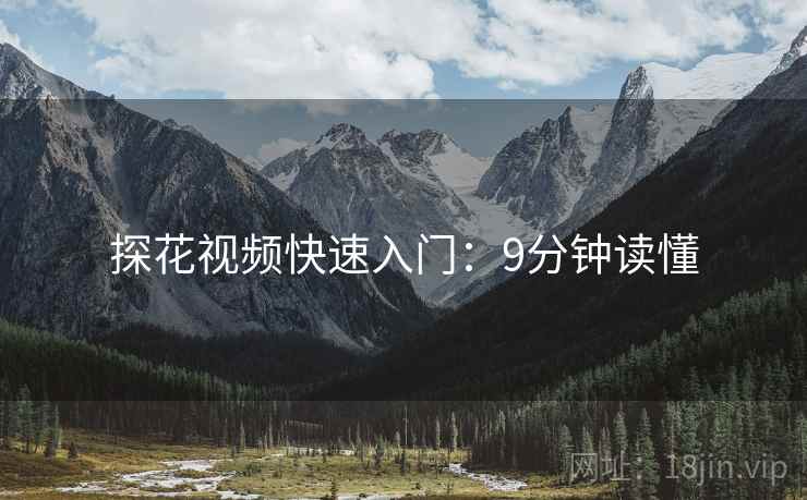 探花视频快速入门：9分钟读懂  第1张
