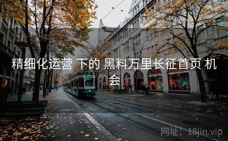 精细化运营 下的 黑料万里长征首页 机会  第2张