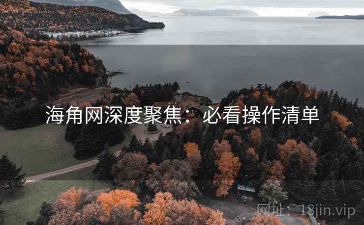 海角网深度聚焦：必看操作清单  第1张