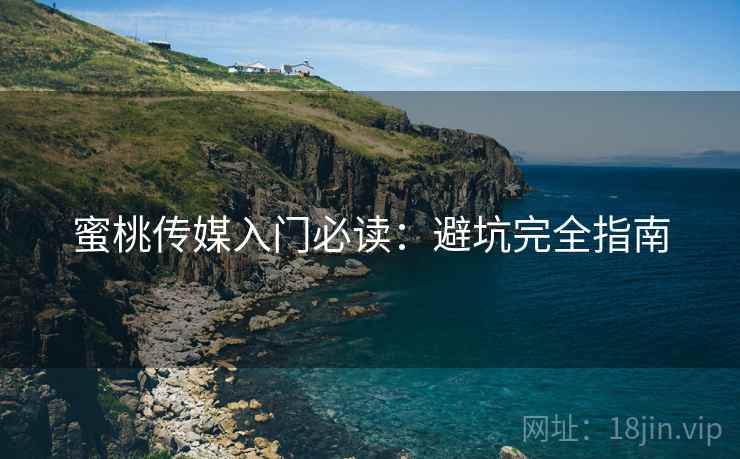 蜜桃传媒入门必读：避坑完全指南  第2张