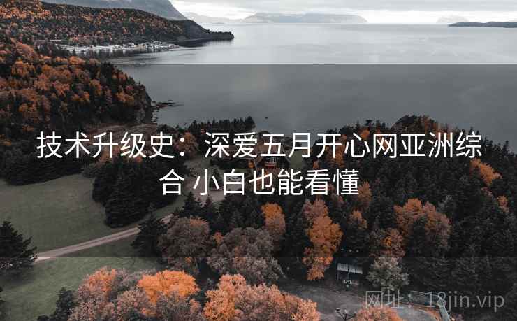 技术升级史：深爱五月开心网亚洲综合 小白也能看懂  第1张