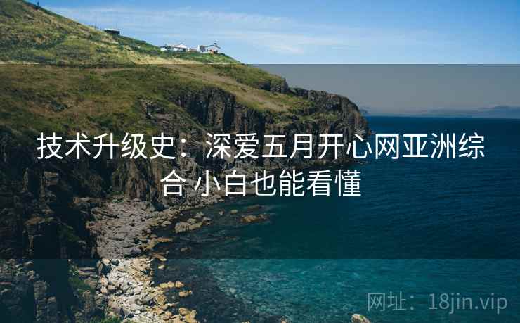 技术升级史：深爱五月开心网亚洲综合 小白也能看懂  第2张
