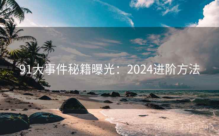 91大事件秘籍曝光：2024进阶方法  第2张