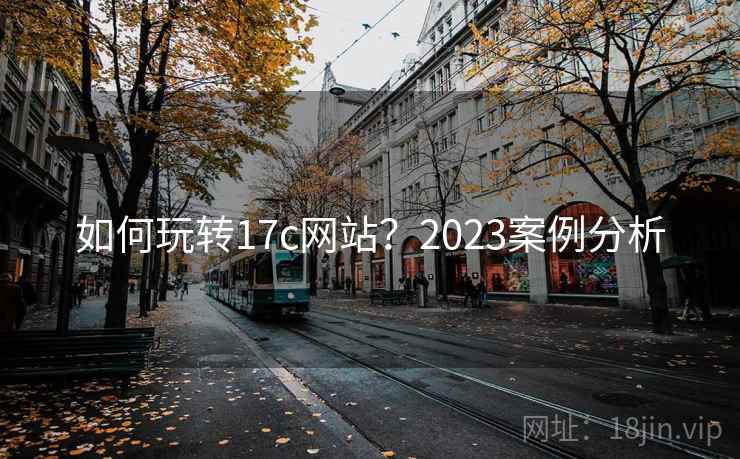 如何玩转17c网站？2023案例分析  第2张