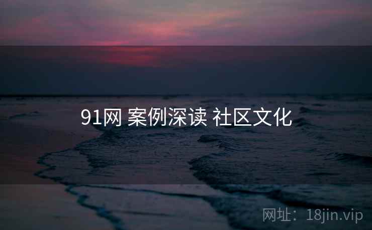 91网 案例深读 社区文化  第2张