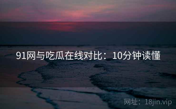 91网与吃瓜在线对比：10分钟读懂  第2张