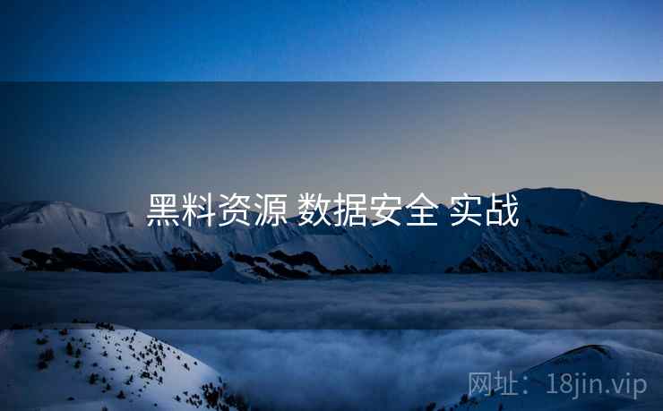 黑料资源 数据安全 实战