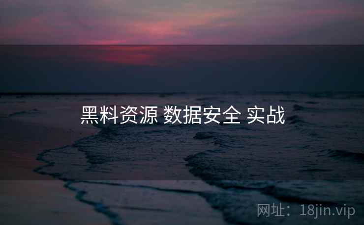 黑料资源 数据安全 实战