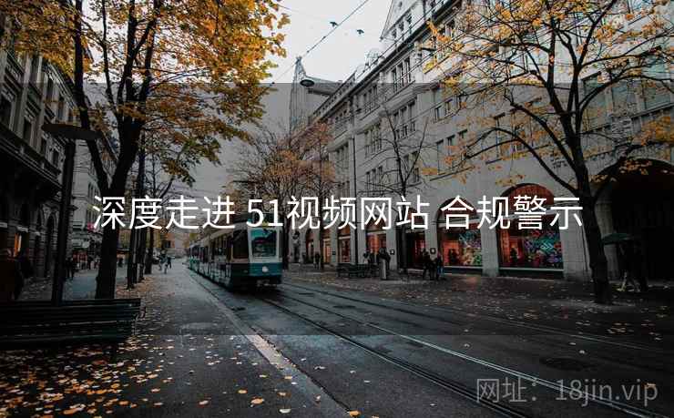 深度走进 51视频网站 合规警示  第1张