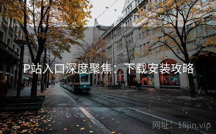 P站入口深度聚焦：下载安装攻略  第2张