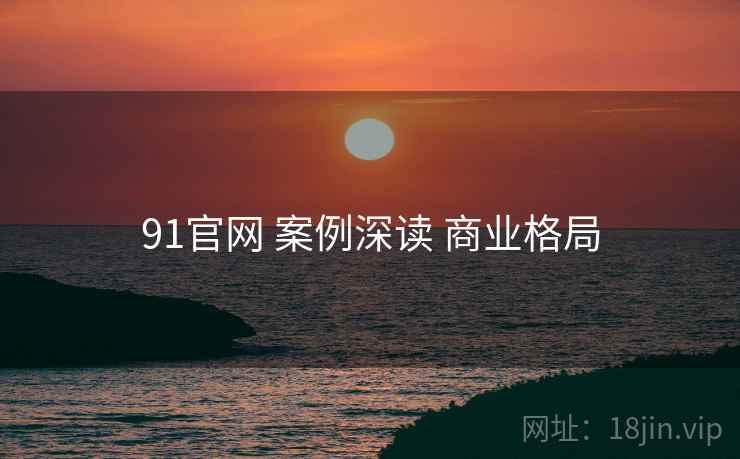 91官网 案例深读 商业格局  第2张