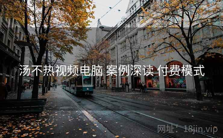 汤不热视频电脑 案例深读 付费模式  第1张