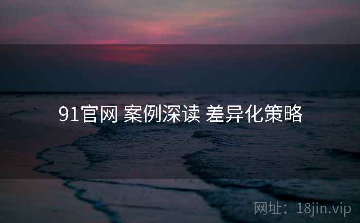 91官网 案例深读 差异化策略  第2张