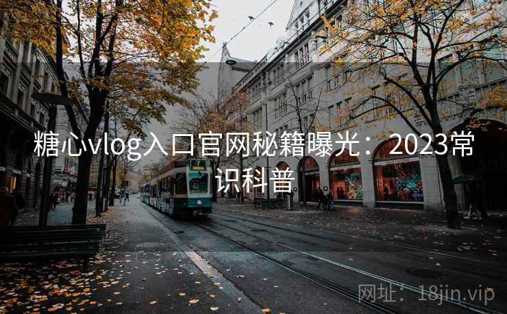 糖心vlog入口官网秘籍曝光：2023常识科普  第2张