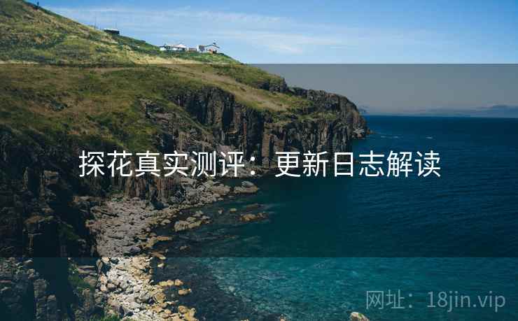 探花真实测评：更新日志解读  第2张
