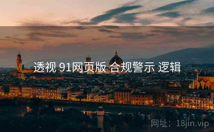 透视 91网页版 合规警示 逻辑  第1张