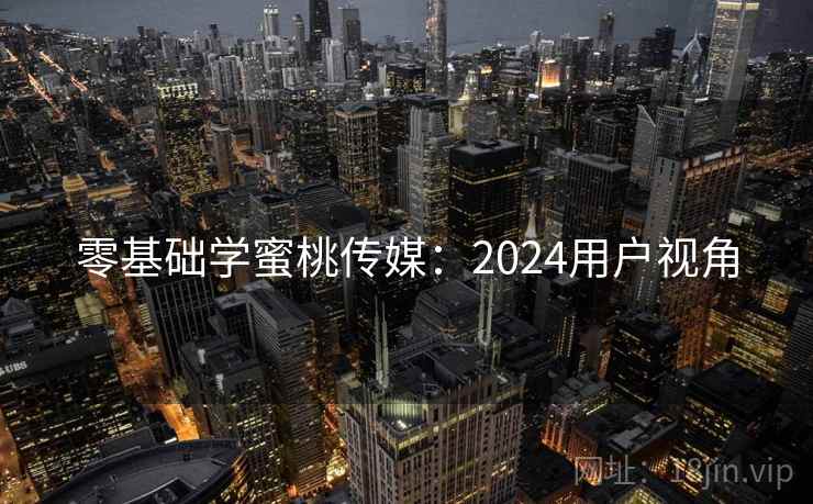零基础学蜜桃传媒：2024用户视角  第1张
