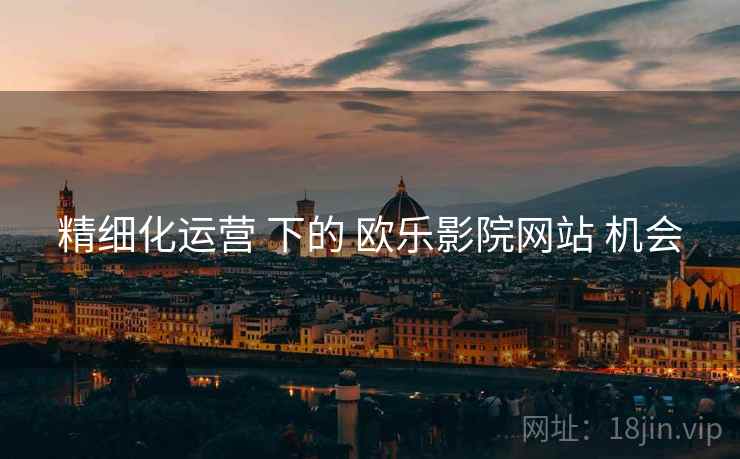 精细化运营 下的 欧乐影院网站 机会  第2张