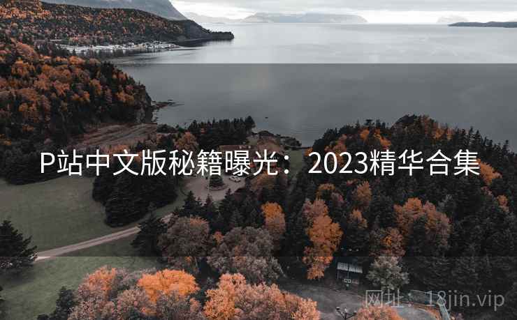 P站中文版秘籍曝光：2023精华合集  第2张