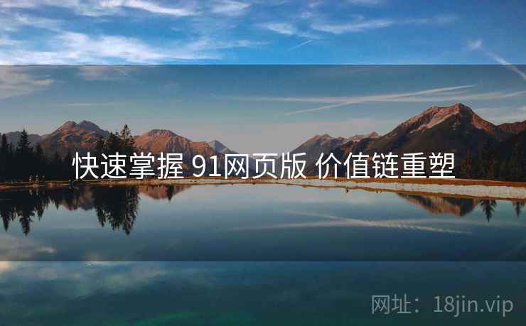 快速掌握 91网页版 价值链重塑  第1张