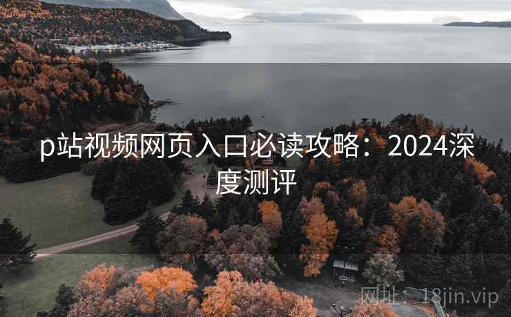 p站视频网页入口必读攻略：2024深度测评  第2张