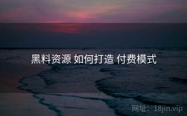 黑料资源 如何打造 付费模式  第1张