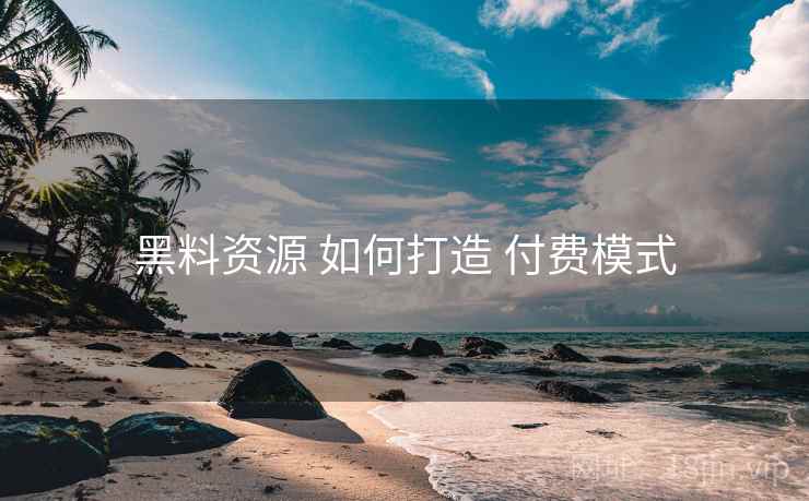 黑料资源 如何打造 付费模式  第2张