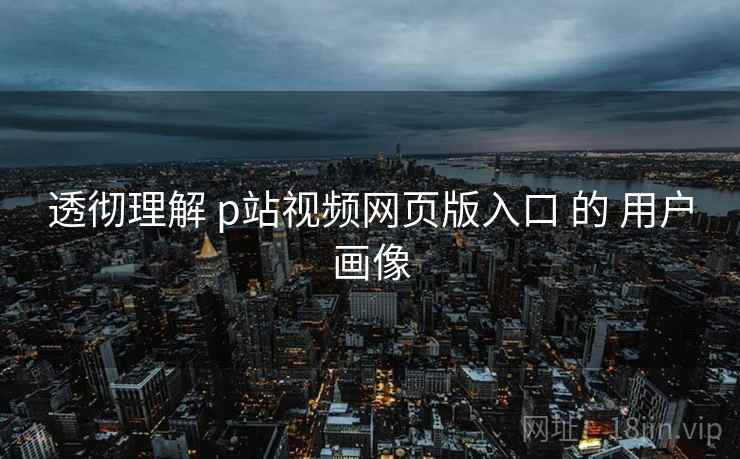 透彻理解 p站视频网页版入口 的 用户画像  第1张