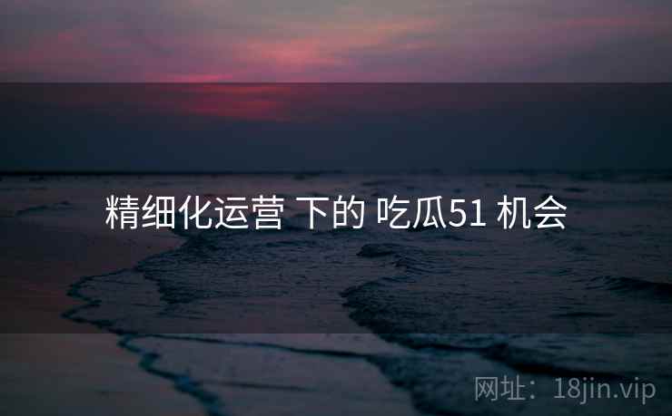 精细化运营 下的 吃瓜51 机会  第1张