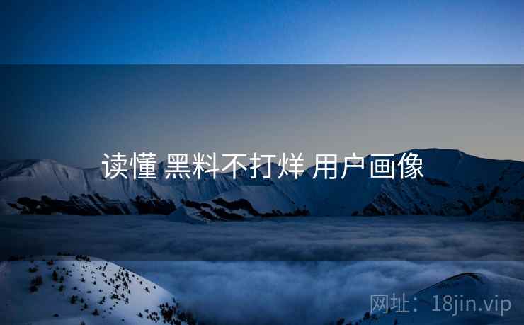 读懂 黑料不打烊 用户画像  第1张