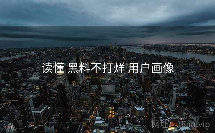 读懂 黑料不打烊 用户画像  第2张