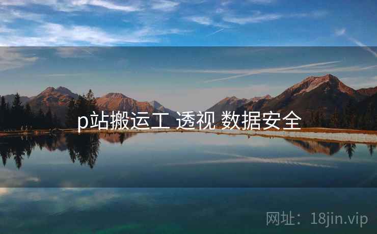 p站搬运工 透视 数据安全  第2张