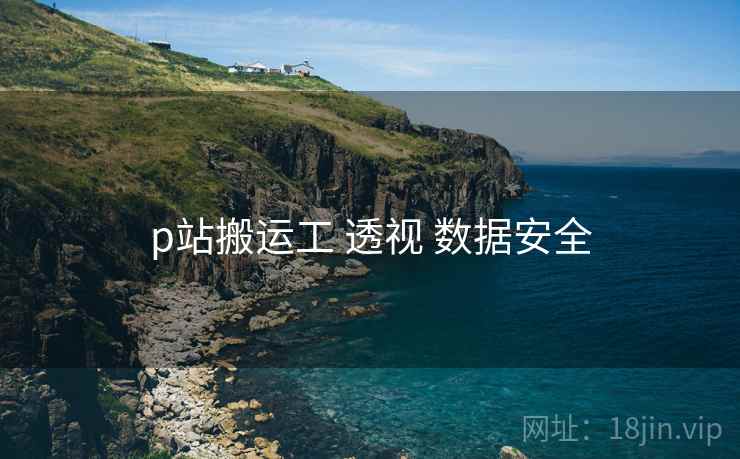 p站搬运工 透视 数据安全  第1张
